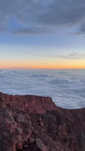 Lautan awan puncak indrapura emang ga pernh gagal di tambah dapet bayangan pyramid 🥹 #mtkerinci3805mdpl #fy #pendakigunung #pendakiindonesia 