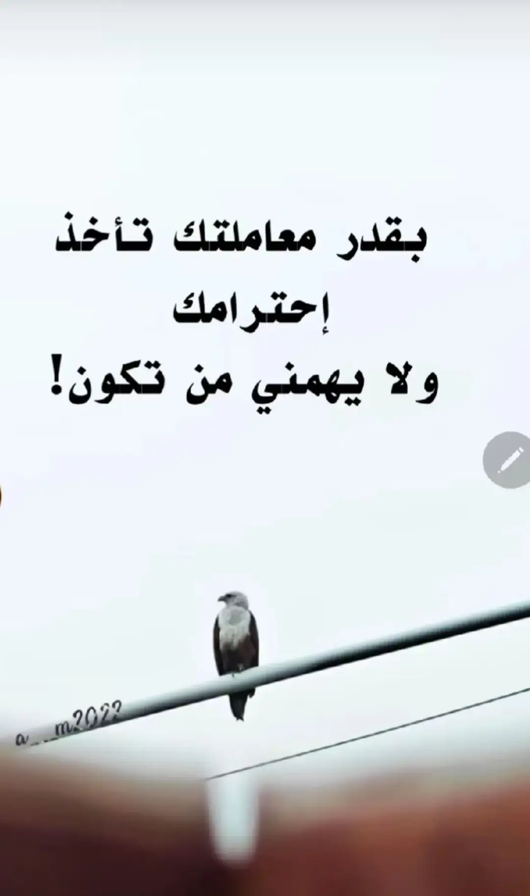 حلات واتس اب مقصوده جديده وقويه عن الواقع الحالي 2026