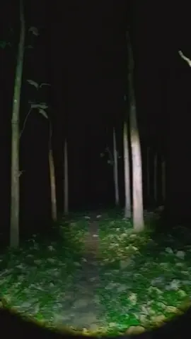 melewati hutan jati pki yg konon angker #misteri #hutanangker #mistis #fyppppppppppppppppppppppp 