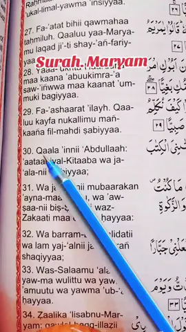 #quranrecitarion #quranvideo #viralvideo 