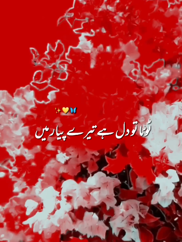 tera qasoor tha ya Mera qasoor paer#song #romanticsong #foruyou #forupage 