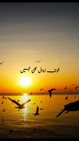 میں بھی بہت عجیب ہوں۔۔۔اردوشاعری۔۔گہرےالفاظ۔۔ #fyp #urdupoetry #heart #foryou #asthetic #deepwords_deeplines #poetry #song #lifequotes #viral #hearttouching 