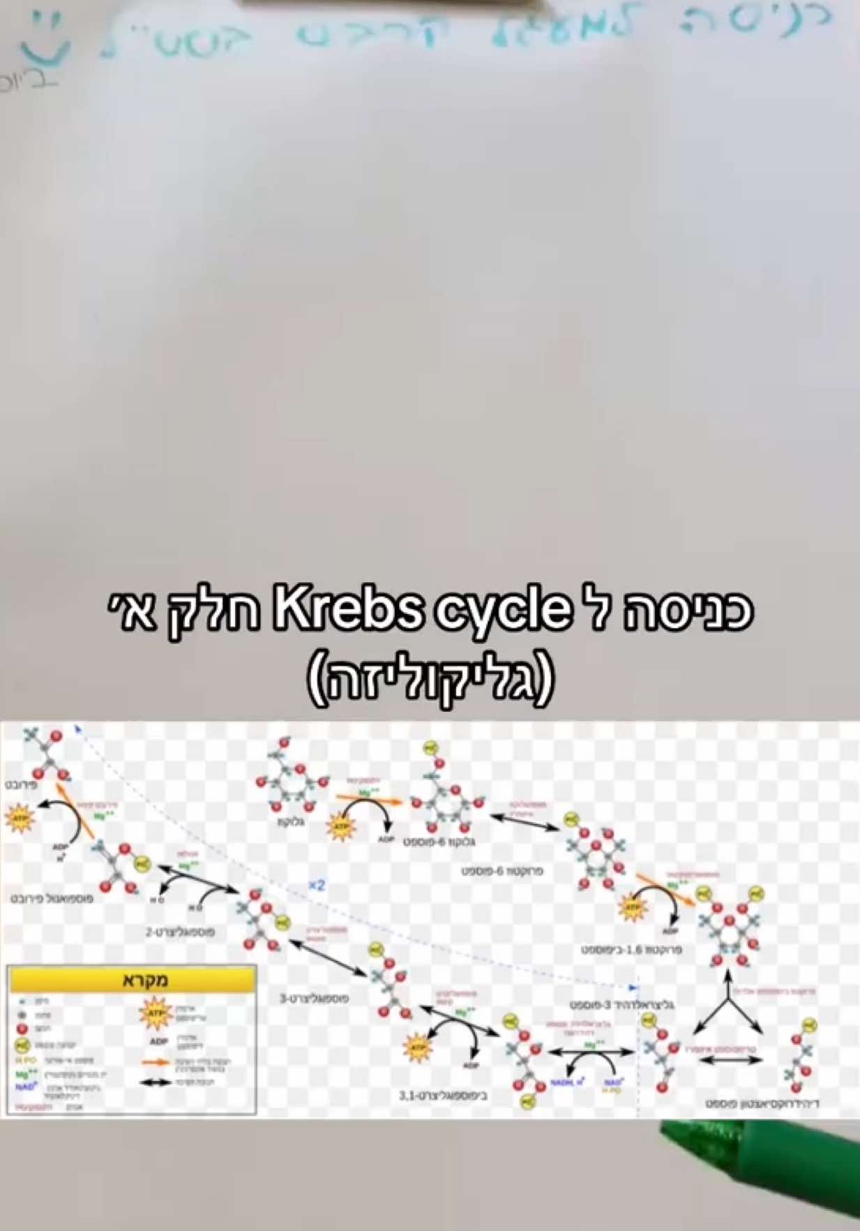 כניסה ל krebs cycle חלק א׳ - גליקוליזה #krebscycle #biochemistry 