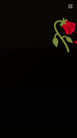 يــهنيال اليحبونه 💔🥀 #حزن  #محرم #ياحسين  #😔💔🥀 #سيد_فاقد 