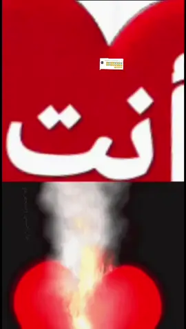 الرد على @user1903770569314 