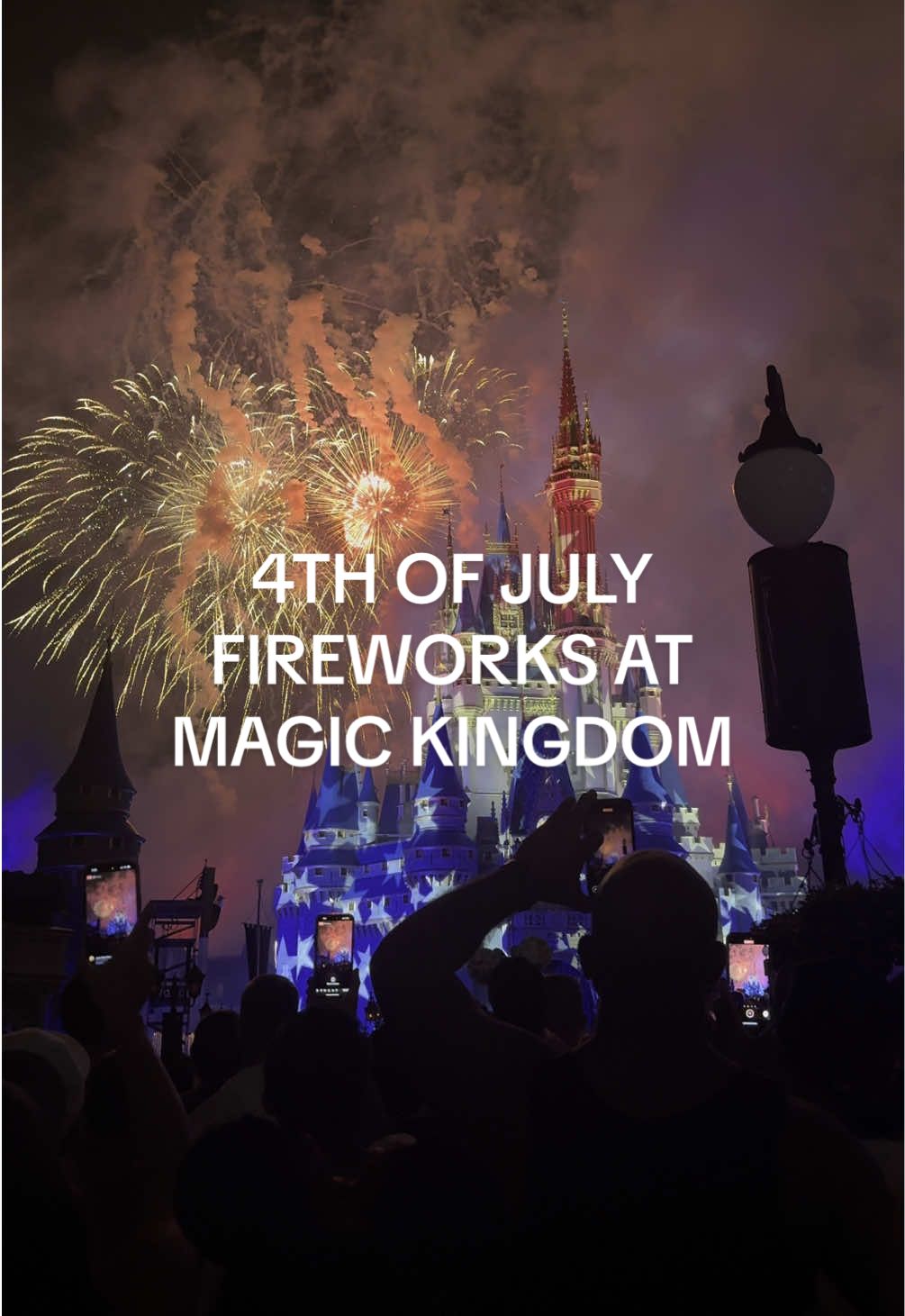 a little bit of the 4th of July fireworks at Magic Kingdom!! so glad I got to see this show after missing HEA and Fantasmic due to rain 🥺 #fireworks #disneyfireworks #disney4thofjuly #magickingdom #disneyworld #disneyparks #disneylife #4thofjuly2025 