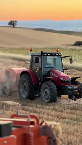#osmandmr #demirtarımişletmesi🌾 #neşesine #phantom3085d #phantom3095d #süperyunusbalyamakinası #paksanhammer #masseyferguson5430 #keşfet #fyp 