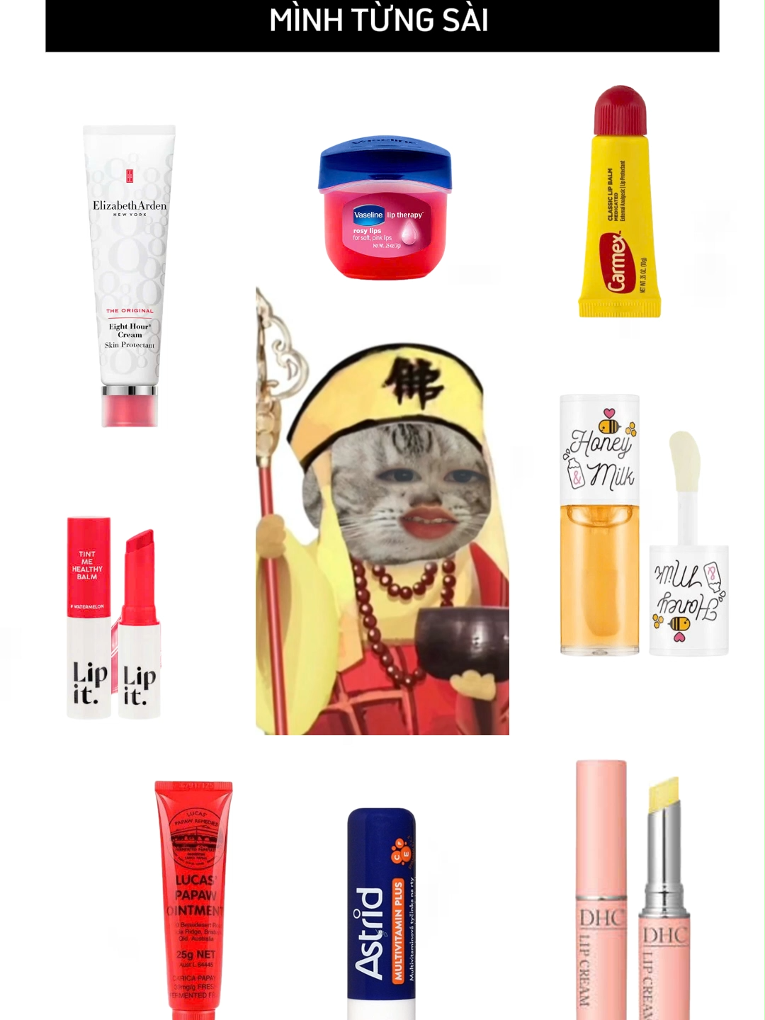 Sự thật về các loại son dưỡng mình từng sài  #reviewlamdep #sonduong #skincare #xh #viral #astrid #lucaspapaw #honeymilk #elizabetharden #carmex