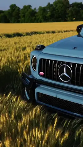 #creatorsearchinsights❤️❤️❤️ 