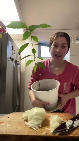Con amorcito💚 #girlssupportgirls #cocina #almuerzo #lentejas #fypシ゚ #pasteldechoclo #cook #cocinaconmigo #fyp #longvideo #paratiiiiiiiiiiiiiiiiiiiiiiiiiiiiiii  