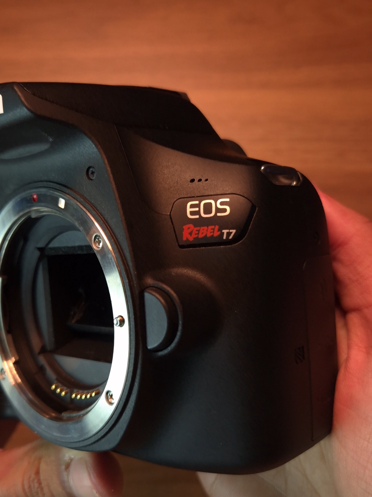 Canon Eos Rebel T7 Tô apaixonado por essa câmera! #canon #canoncamera #canoneosrebelt7 #eosrebelt7 #canont7 #techtok 