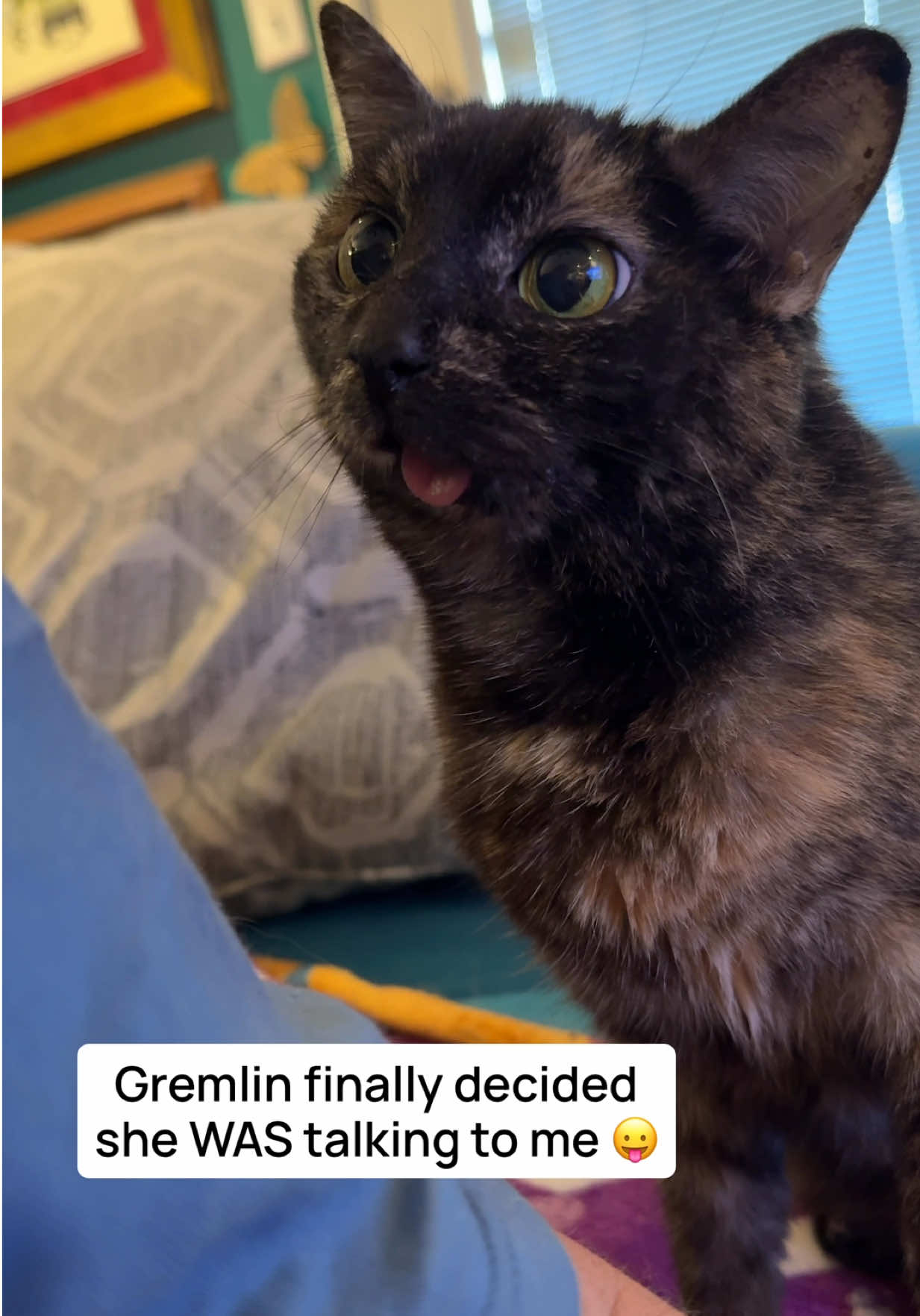 I could stare at that side-profile all day though 🤭 ​ ​#catladytails #catswiththeirtonguesout #catsoftiktok #tortiecatsoftiktok #gremlinthecat 