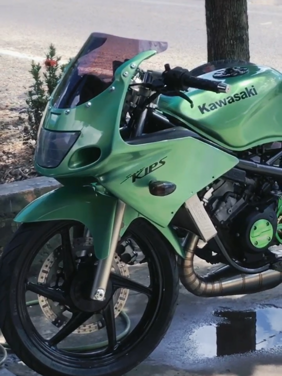 🔥#ninjarrtosca #fyp #ninjazxcbu #ninjass #ninjarrold #kawasakininja #ninjarr 