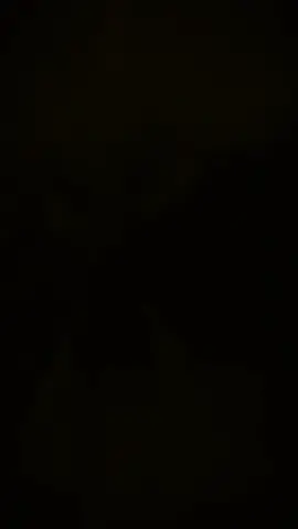 nhiều ngày mod@Mai Huong Dinh #CapCut #free_fire #chó_cưng #xh #fyp 