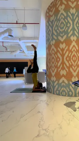 kita usahakan pincha itu,sayang #yogatok #pincha 