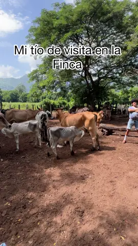 Creo que ya no lo vuelven a invitar 😂
