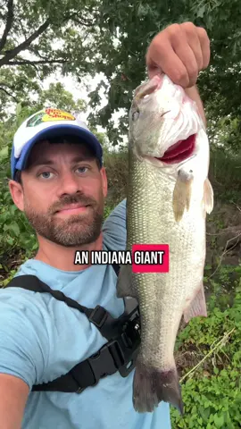 Fishing the wacky worm 🎣 #fishing #fishinglife #fishingvideos #fishingtips #bass 