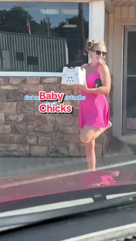 So excited for my Jersey Giant Rooster and my blue Andalusian hens!!! #homestead #chickens #jerseygiants #blueandalusian 