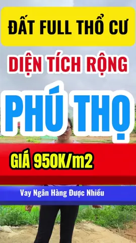 ĐẤT FULL THỔ CƯ CHO ANH CHỊ THÍCH ĐẤT RỘNG. LÀM GÌ CŨNG TIỆN#thitranthanhson #bdstanson #bdstamnong #bdsphuninh #batdongsanhahoa #bdsviettri #bdsdoanhung #batdongsanhahoa #bdsthanhtuy #xuhuongtiktok #anhtuyetbdsphutho #phutho19 #batdongsan #phutho #bdsthixaphutho 