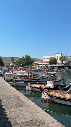 #izmir#eskifoca #tatilbitmesin #2025 