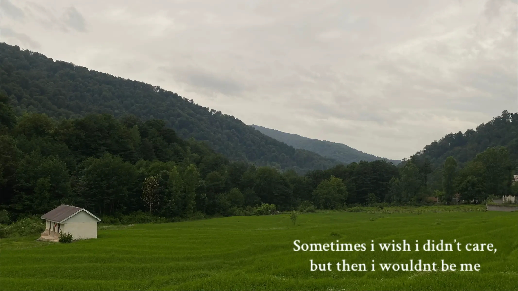 #peace #nature #vibe #vibes #naturevibes #river #road #cow #fyp #fyppp #text #qoutes 