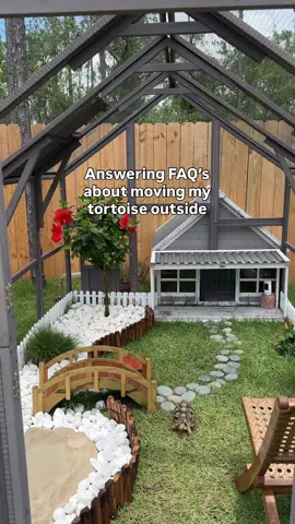 I’ve been getting a lot of questions about moving Fig outside after 3 years as an indoor tortoise 💚 #tortoise #pets #turtletok #cuteanimals 