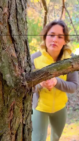 Ep 547 - The GIRL knows how to do it 🔥#camping #survival #bushcraft #Outdoors #marusya #shiklina