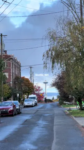Seattle from all over the city, endless views #seattle #washington #fypシ 