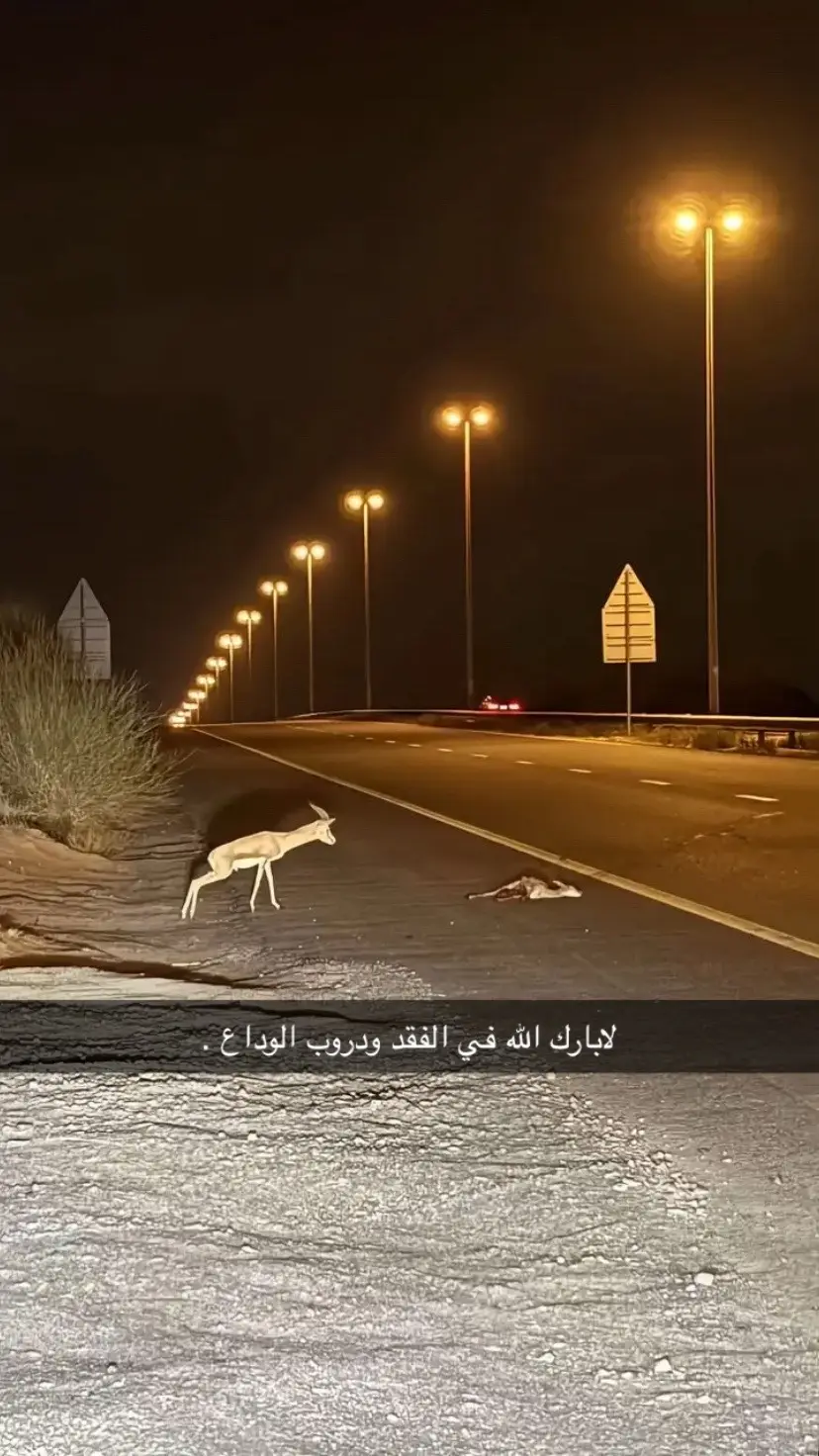 لابارك الله في الفقد  ودروب الوداع💔#