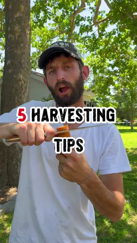 5 Harvest Tips 🥒  🍅 Don’t wait until your tomatoes are fully colored before you pick them. You can harvest at the breaker stage and let them ripen on the counter!  🥒 Check cucumbers DAILY because they can double in size in 24-48 hours. Then leave a little stem on the fruit to prevent too much moisture from getting drawn out of the crop.  🥬 Harvest cabbage in the early morning for crisp flavor and don’t go off size, go off the feel. The head should feel solid and tight, not spongy.  🌼 Male zucchini flowers show up first on elongated stems and won’t produce any fruit. Once pollination is done you can harvest these, fill them with ricotta or cream cheese and eat them!  #garden #gardening #tip #tips #zucchini #tomato #tomatoes #crop #harvest #helpful #funfacts #cucumbers #cucumber #cabbage #fruit #plant #plants #shilohfarm #farmtok #gardentok #education 