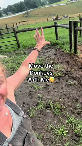 You know what… They behaved so well to be donkeys! #donkeys 