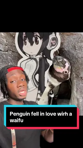 Skipper marrying in bobblehead suddenly makes sense #penguin#anime#japan#moreyouknow 