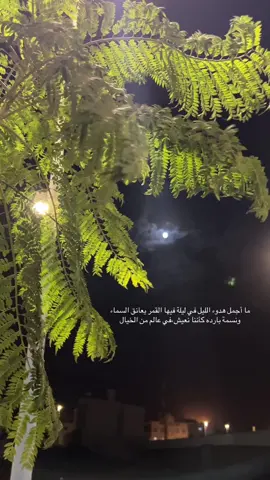 ما أجمل هدوء الليل في ليلة فيها القمر يعانق السماء ونسمة بارده كأننا نعيش،في عالم من الخيال