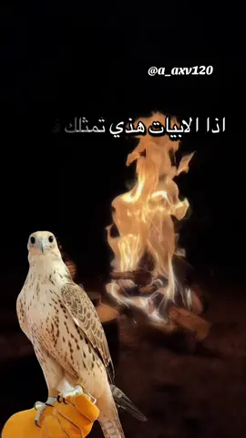 #أكسبلور_شعر_حكم_خواطر 