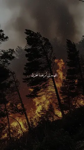 اللهم امين 😔❤️‍🩹✨ . . . #حريق_سوريا #حريق_غابات_سوريا #اللهم_اجعلها_برداً_وسلاماً #اللهم_امين #اللهم_امين_يارب_العالمين #اكتب_شي_توجر_عليه #ادعيه_دينيه #fyp #foryou #foryoupage #اكسبلورexplore 