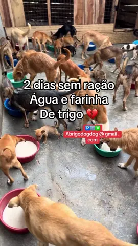 Um milagre 