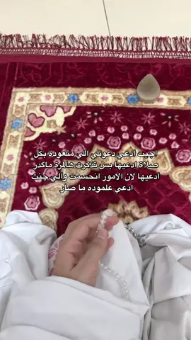 الحمدلله على كل شي #alhamdulileh #iraq #najaf #صلاة #دعاء #foryoupage #viral #اكسبلور #fyp #اكسبلور #fyp #fyp #اكسبلور #foryoupage 