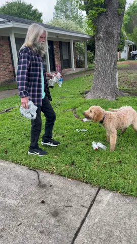 10 dollars and he will throw inn the dog 🐶#daveyandi #k10 #funnyvideos 