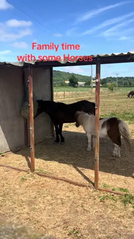 #foryoupage #viral #fyp #fy #Summer #sunshine #horses#wiltshire #beautiful #england #uk #video … This is a family video with some horses in the Wiltshire countryside… A family video with my 9 year old little daughter & one of my boys called Jack & my partner lovely Lorraine ❤️ 😊