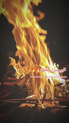 #الملكي #صوابك_بكلبي_يدگ