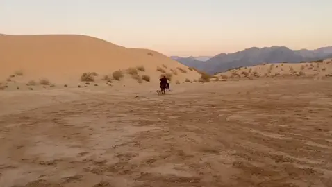 #ماشاءاللہ #🐎🔥 