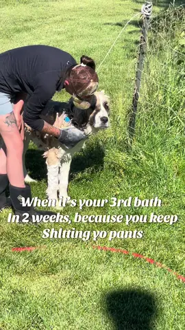Poor boy 😭
