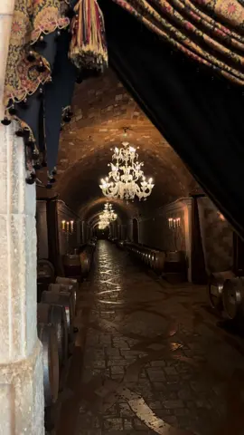 Wine Caves, Napa                                            #napavalley #winetasting #fyp #Summer 