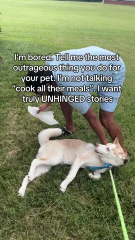 I’ll go first….I pull random objects out of his b**ty every other day 😔❤️ #dogsoftiktok #pets #huskybluey 