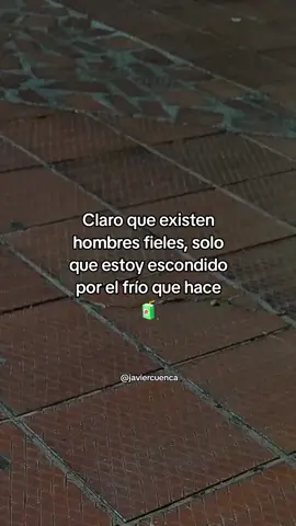 No es que no existan, es que nos congelamos primero 😅 #juguito🧃 #frases #parati #sarcasmo #humorfrío 