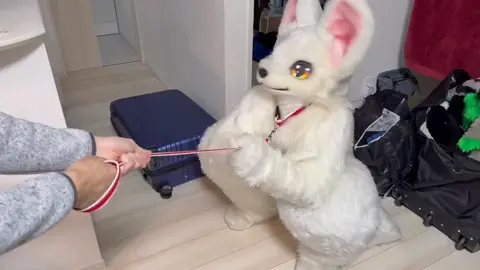 come with me hehe 🤭 —— ( x: shiropanda_ ) #furry #fyp #furryfandom #cute #fursuit #fur #furrys 