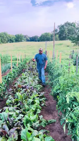 #naturaleza #campo #jardineria #gardentips #redbeets 