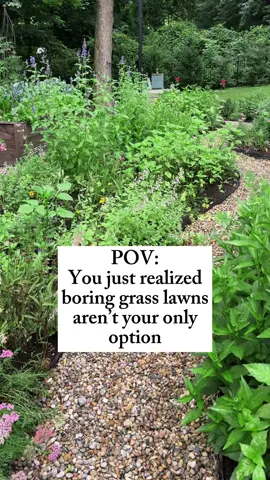 Ways to make your yard less boring: Plant a small kitchen garden Add some pollinator friendly plants Create a berry tunnel or fence Plant some fruit trees Create a native plant space There's so many other options that make your yard so much more fun for you and so much better for the planet Go to my bio to get my list of native plants so you can get started on your own yard renovation too #landscaping #backyard #yard #grass #lawn #garden #gardening #nativeplants 