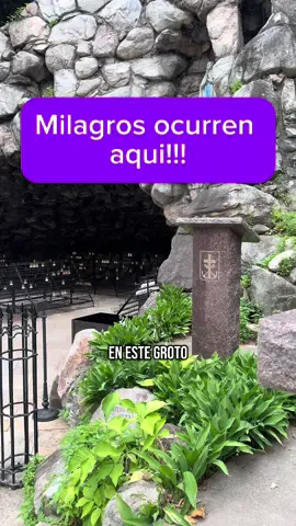 Wow! Sabias esto? #contentcreator #ceciliacastellanos #latinos #hispanos #indiana #grotto #virgenmaria #virgencita #virgendeguadalupe 