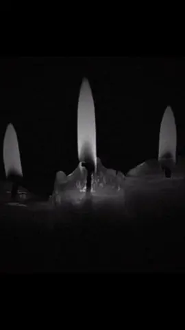 suicidal dream by everclear #fyp #lyrics #everclear #candle #lyricsvideo 